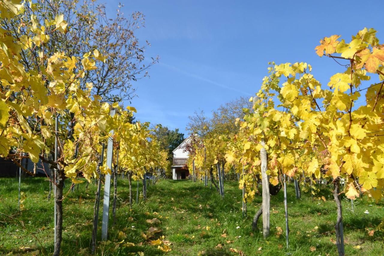 Kellerstoeckl Nimm 2 Villa Rechnitz Bagian luar foto